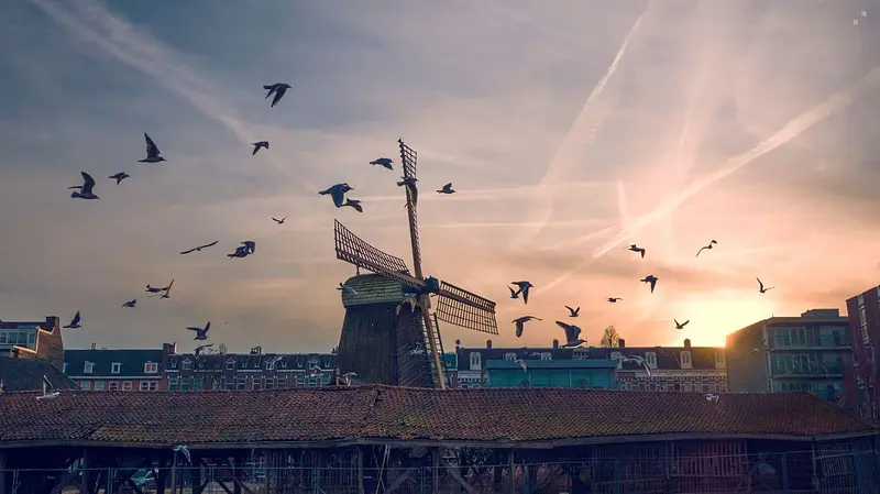 windmolen met zwerm vogels bij schemering